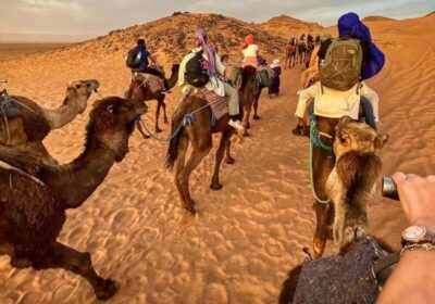 Top 10 Activities to Enjoy on a Fez to Marrakech Morocco Tour (2026 Guide)