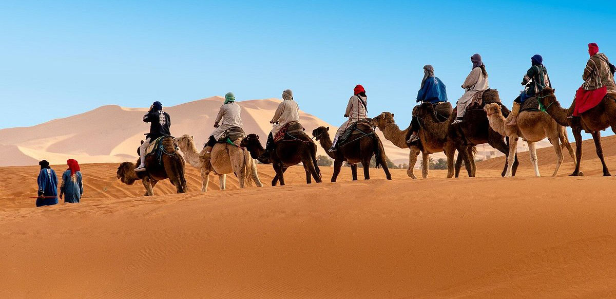 Camel Trekking Marrakech Adventure