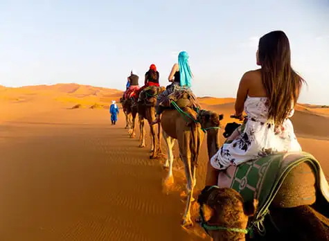 Authentic Camel Trekking Experience