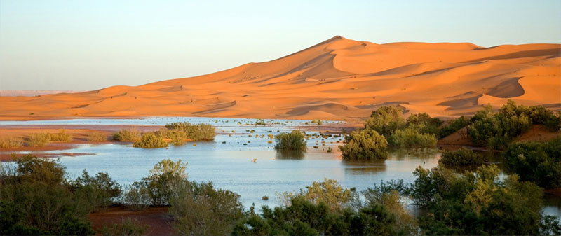 Landscapes of Merzouga