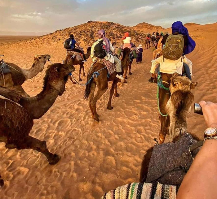 Camel Trekking at Sunset and Sunrise