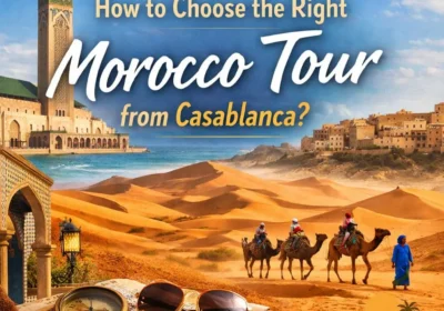 How to Choose the Right Morocco tour from Casablanca