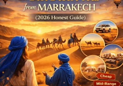 How to Choose the Best Desert Tour from Marrakech