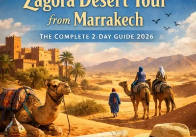 Zagora Desert Tour from Marrakech: The Complete 2-Day Guide